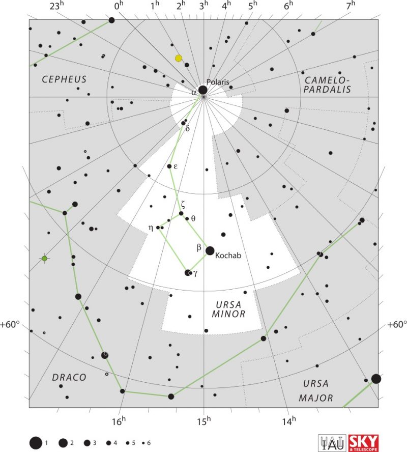 White star chart of Ursa Minor with black dots for stars, lines and grids.