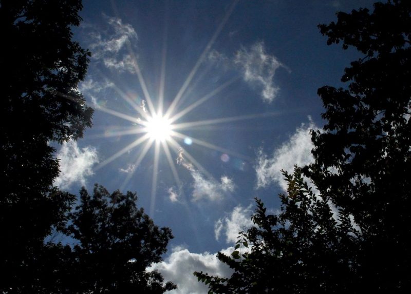 Top 10 space objects: Bright sun in sky with clouds and trees below, looking upward.