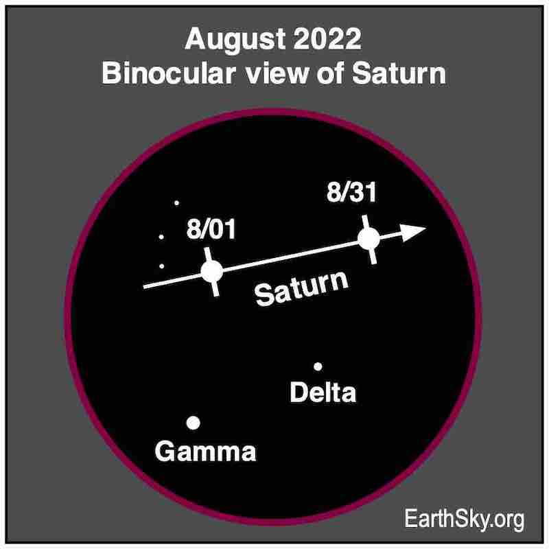 Binocular view of Saturn in August.