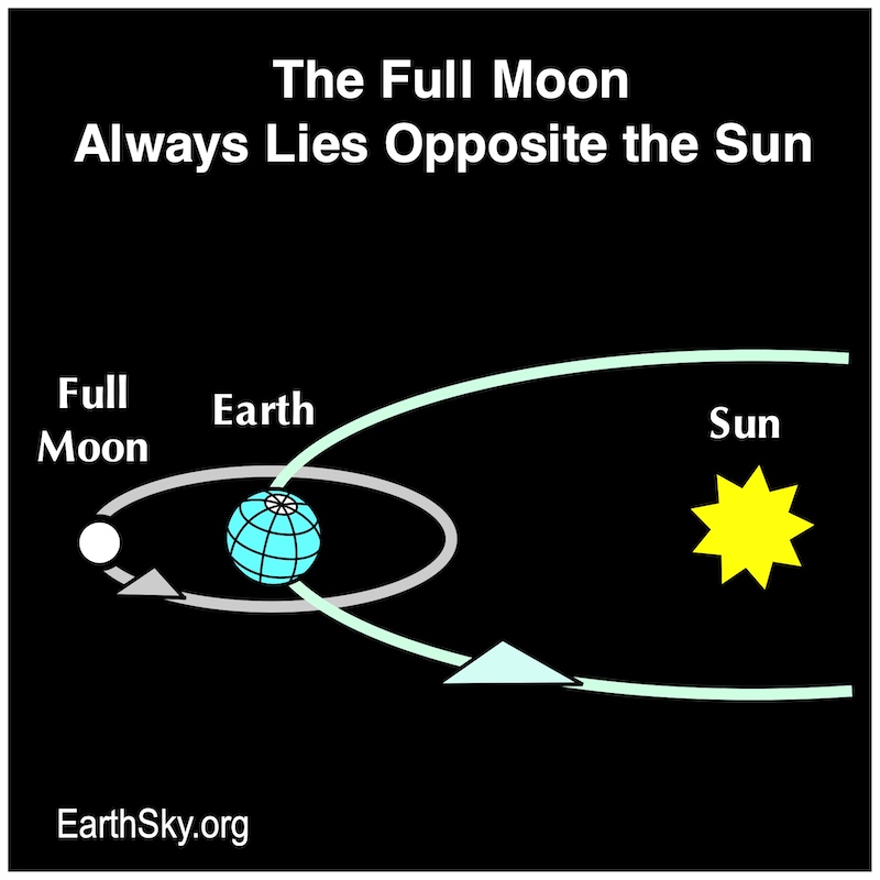 The moon, the Earth and the sun are aligned. Earth surrounds the sun in a big circle. The moon surrounds the Earth in a smaller circle.
