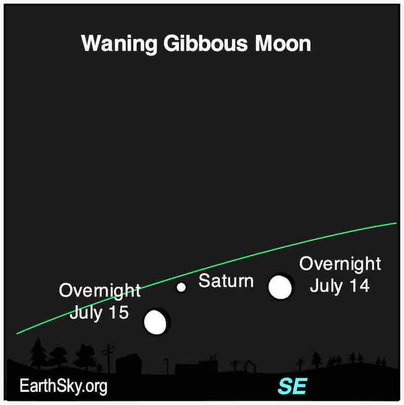 Saturn next to 2 positions of the waning gibbous moon.