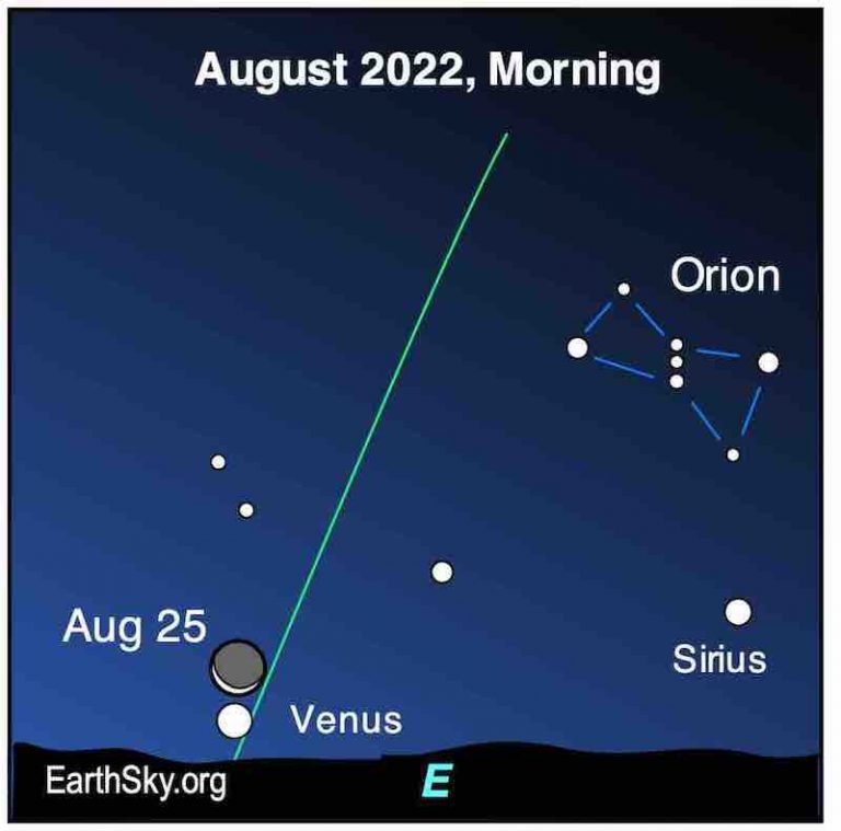 EarthSky | Visible planets and night sky August 2022