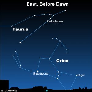 Orion the Hunter: Ghost of the summer dawn