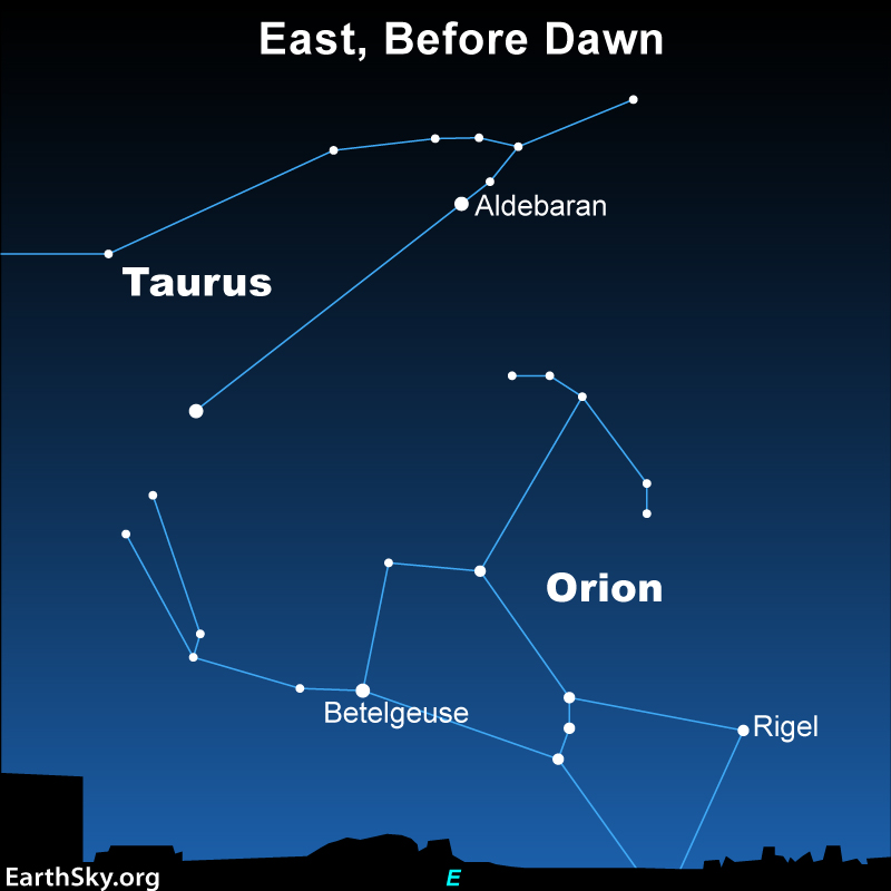 Star chart showing Orion and Taurus in blue lines with some white dots representing their stars.