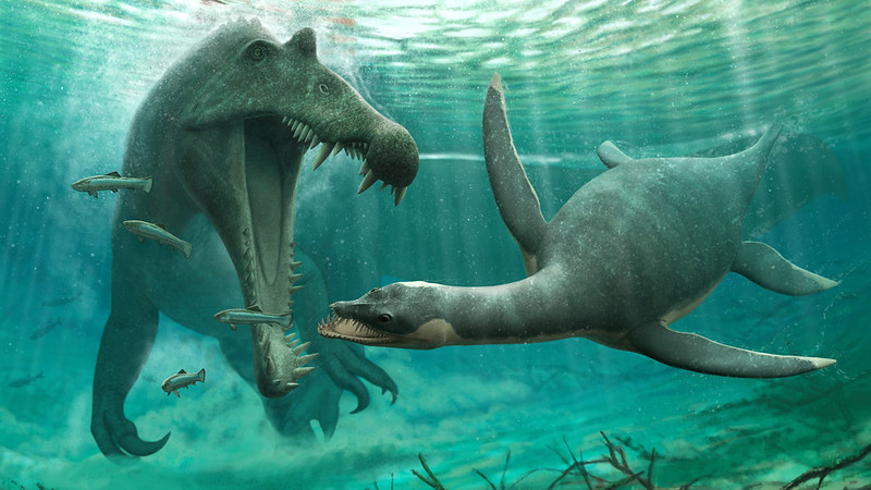 Freshwater plesiosaur: 2 large marine reptiles underwater, 1 with long neck and flippers.
