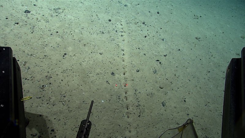 Long line of small rectangular holes in sediment, with portion of mechanical diving robot in foreground.