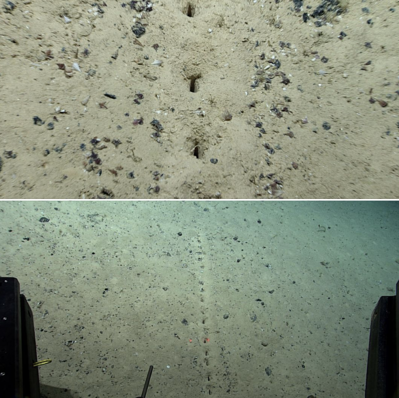 Weird ocean holes. Top: 4 rectangular holes in sediment. Bottom: Straight line of small rectangular holes.