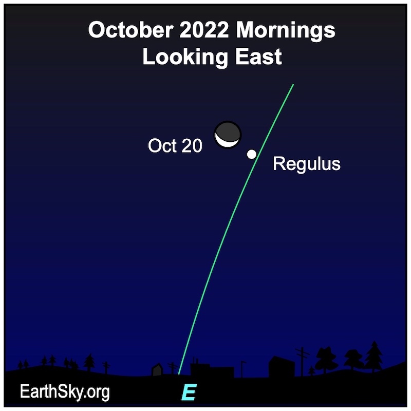 Moon near Regulus: Steep green line of ecliptic with crescent moon near Regulus close to ecliptic.