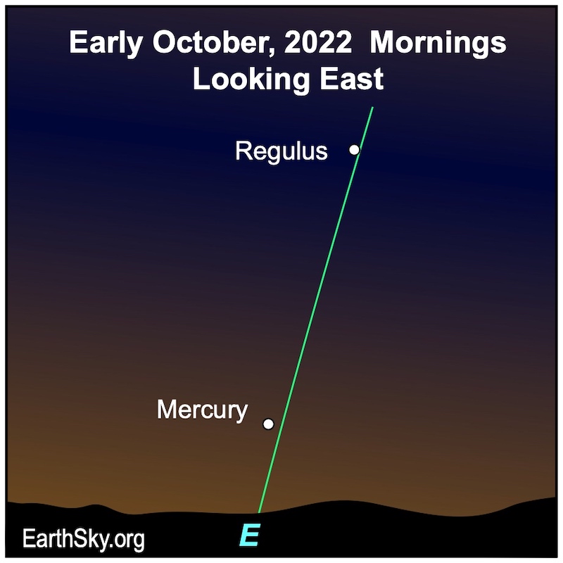 Nearly vertical green line of ecliptic with Regulus above and Mercury near horizon.