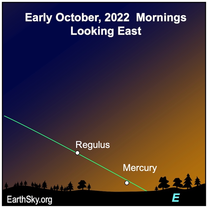 Slanted green line of ecliptic with Regulus and Mercury barely above horizon.