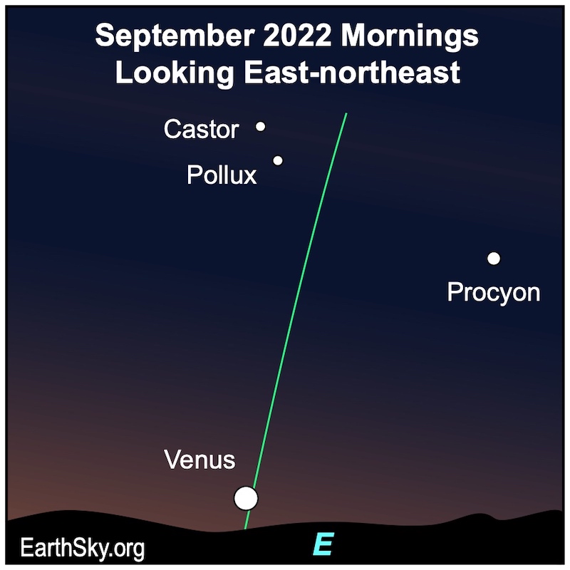 Venus in September in the morning below Castor, Pollux and near Procyon.