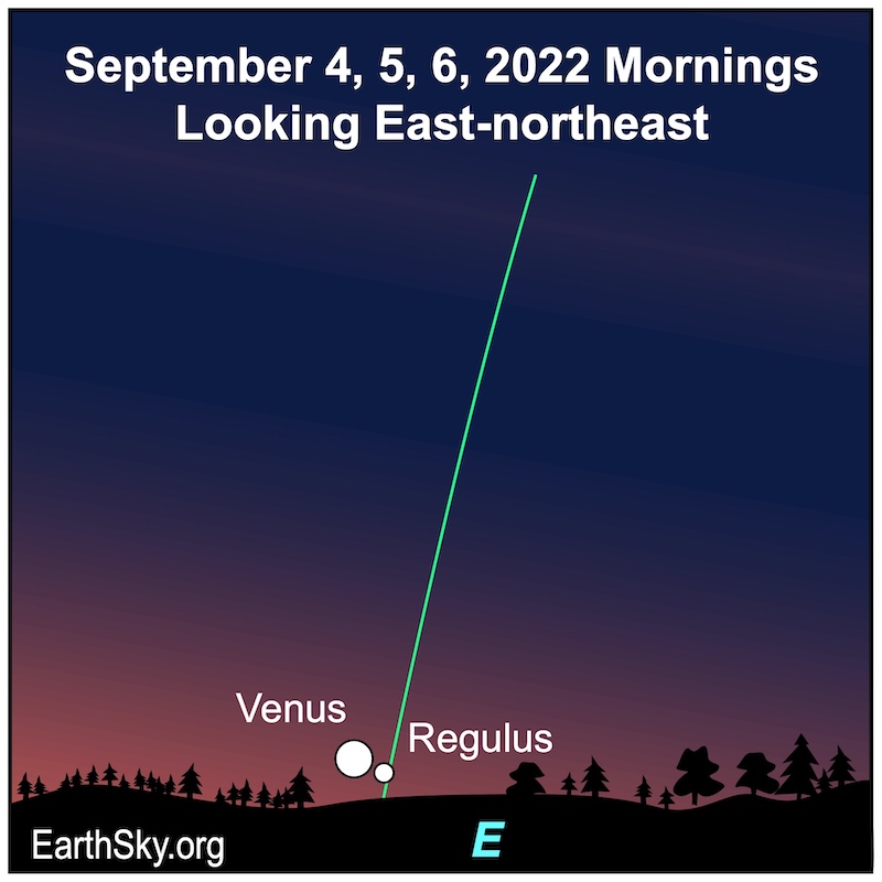 Venus and Regulus: Large and small white dots next to horizon at bottom of steep line of ecliptic.