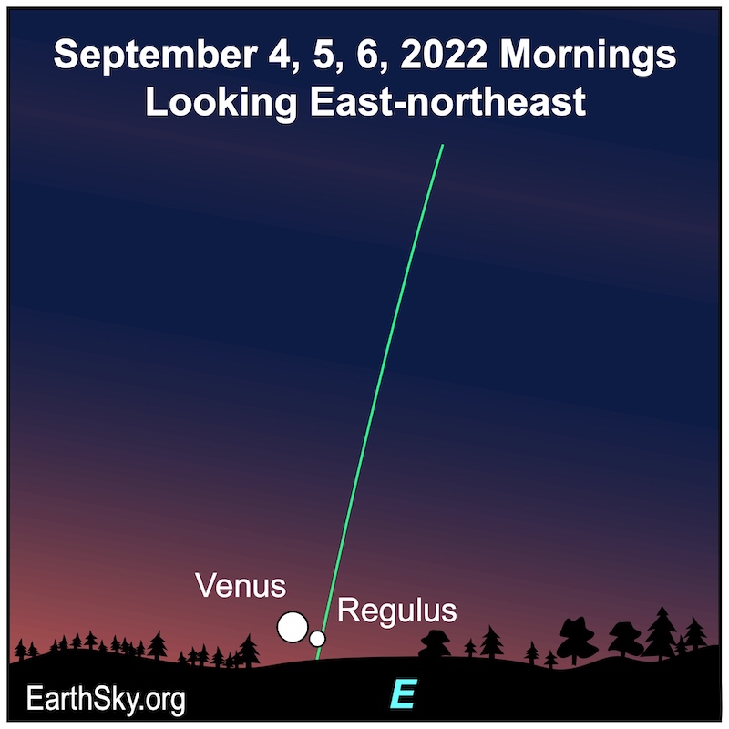 Venus y Regulus en las mañanas del 4, 5 y 6 de septiembre