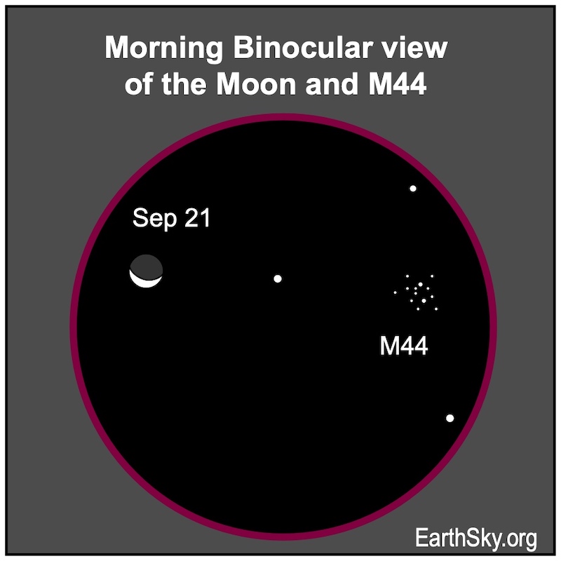 Circle with moon and scattered dots representing the Beehive Cluster in binoculars.