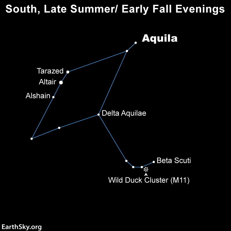 Aquila the Eagle: Star chart of a stretched diamond shape with a tail from the wide edge, with labels.