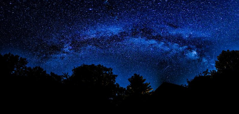 Dark silhouette of trees in foreground with blue glow around black clouds of Milky Way's stars.