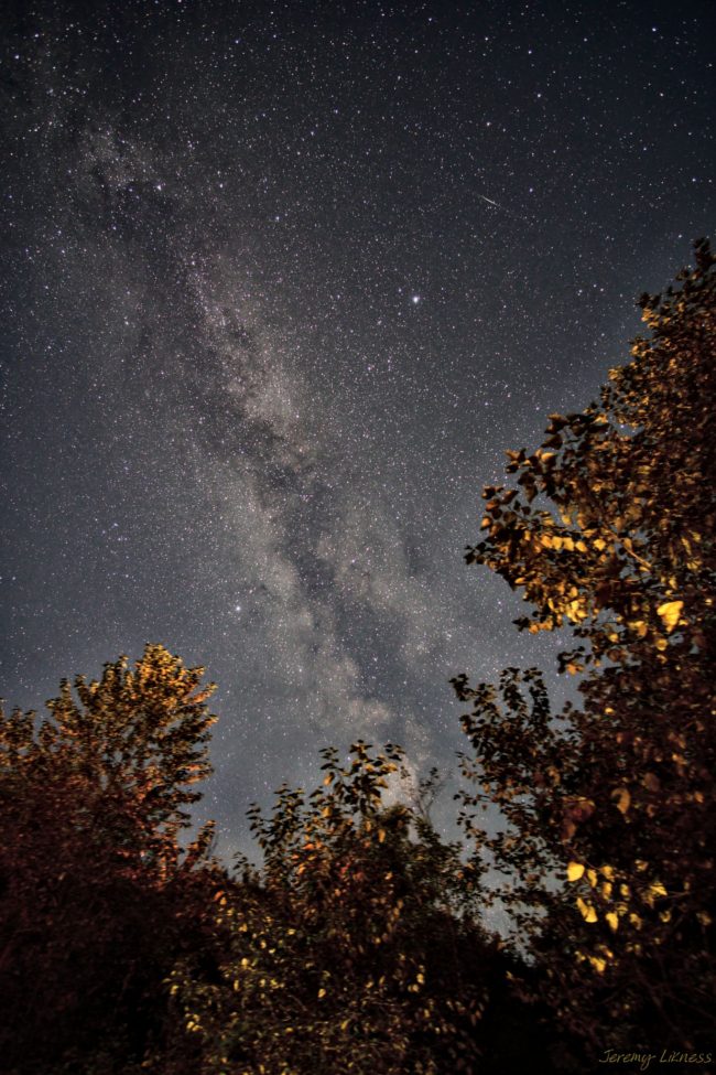 Trees surround two sides of the image of this Milky Way.