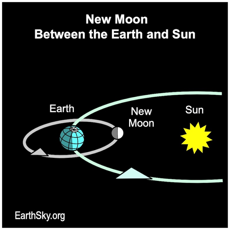 Diagram showing new moon between Earth and the sun.