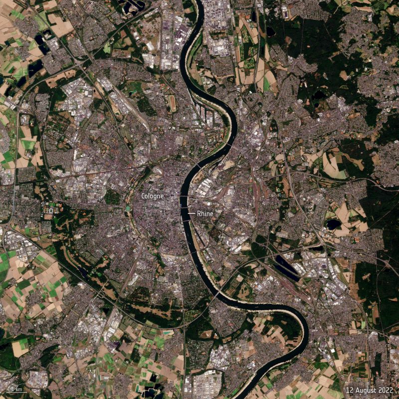 Satellite image of the Rhine River showing a dark streak and lighter embankments.