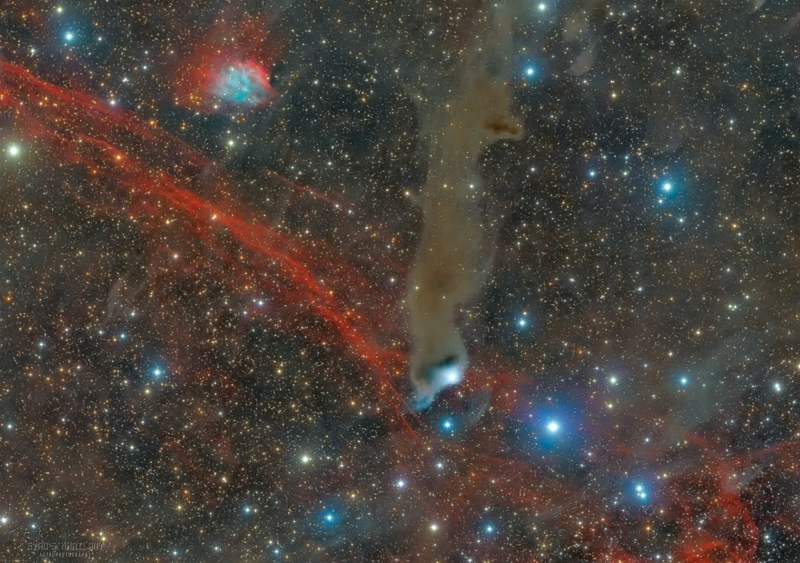 Deep sky: Large swirls of red and bluish veil-like nebula in a dense starfield.