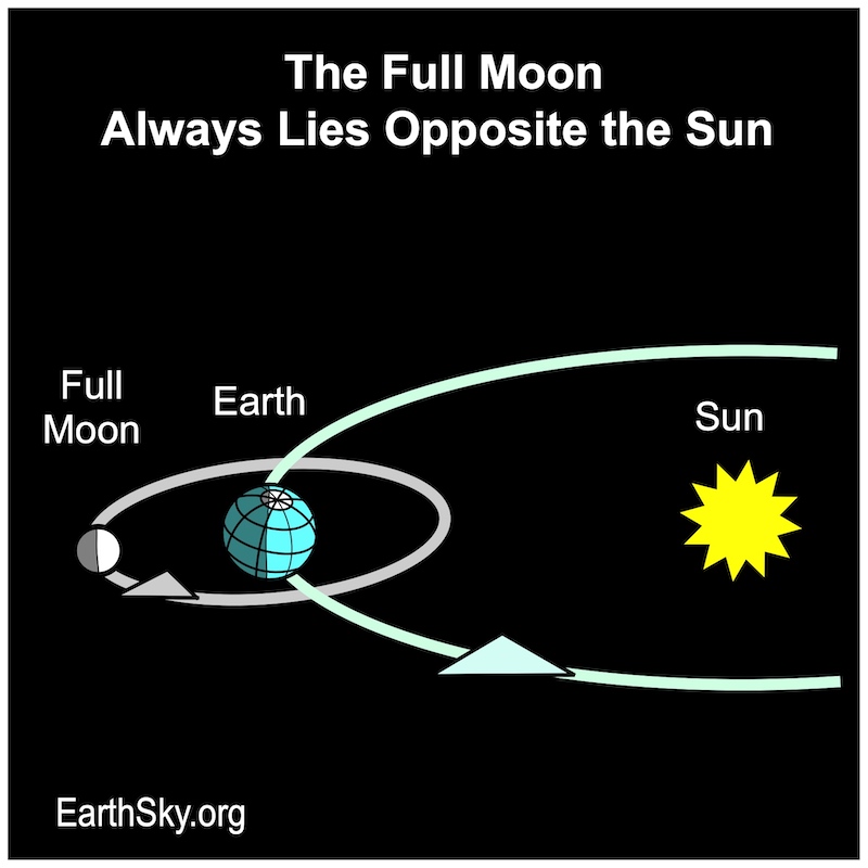 Diagram: Moon, Earth, and sun in alignment with moon on far side of Earth from the sun.