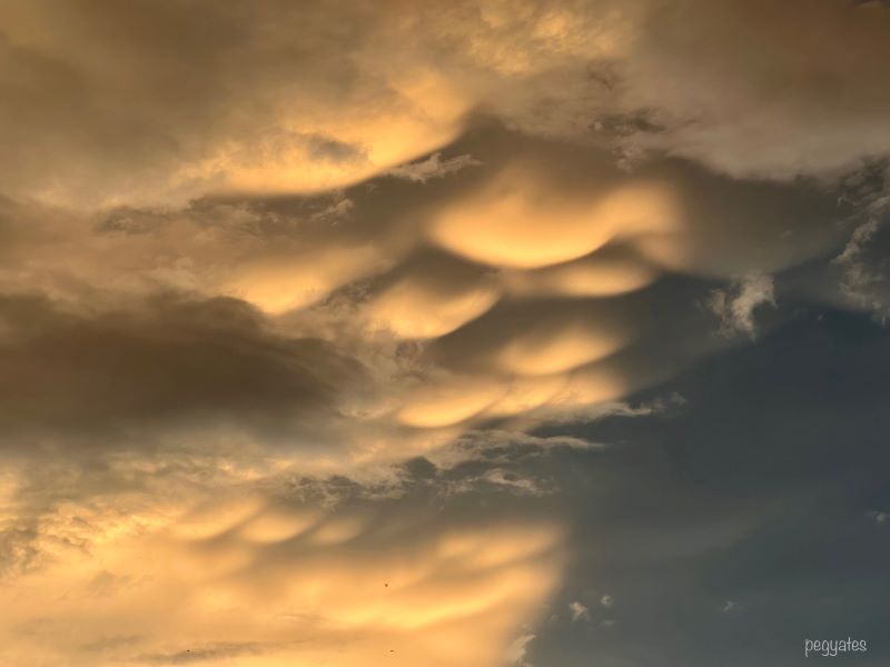 Altocumulus Mammatus Clouds