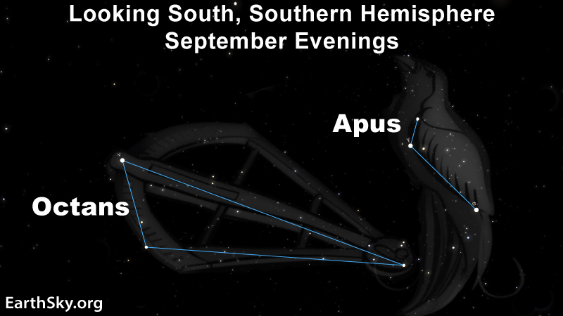Star chart showing 2 dim constellations and their outlines, Octans and Apus.