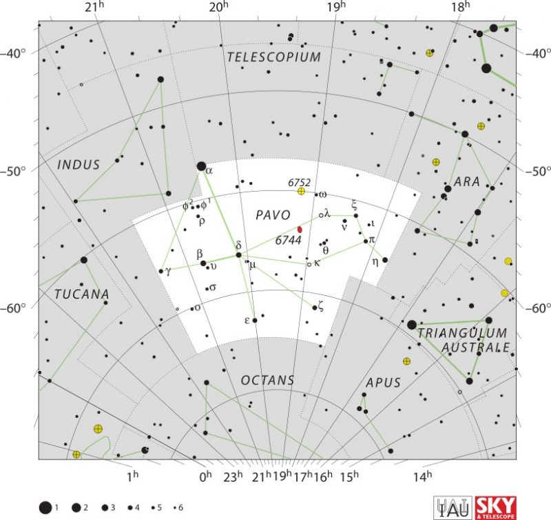 White star chart with black dots showing the shape of Pavo.