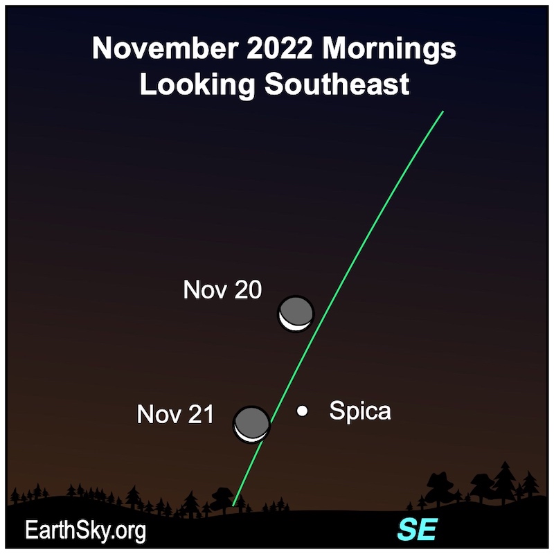 Moon and Spica on November 20 and 21.