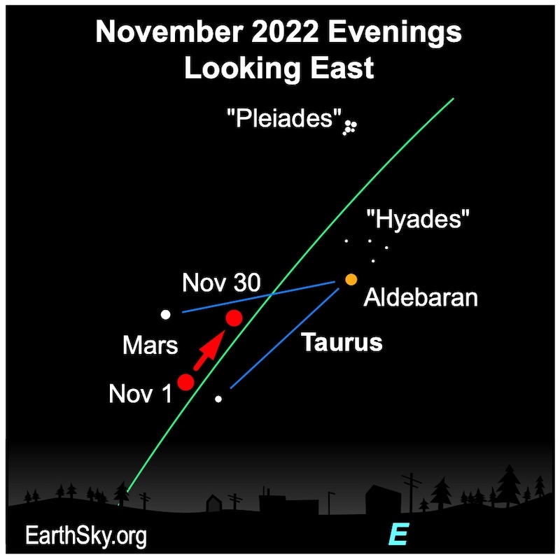Mars in November 2022 moving between the horns of Taurus, with Aldebaran, the Hyades and the Pleiades nearby.