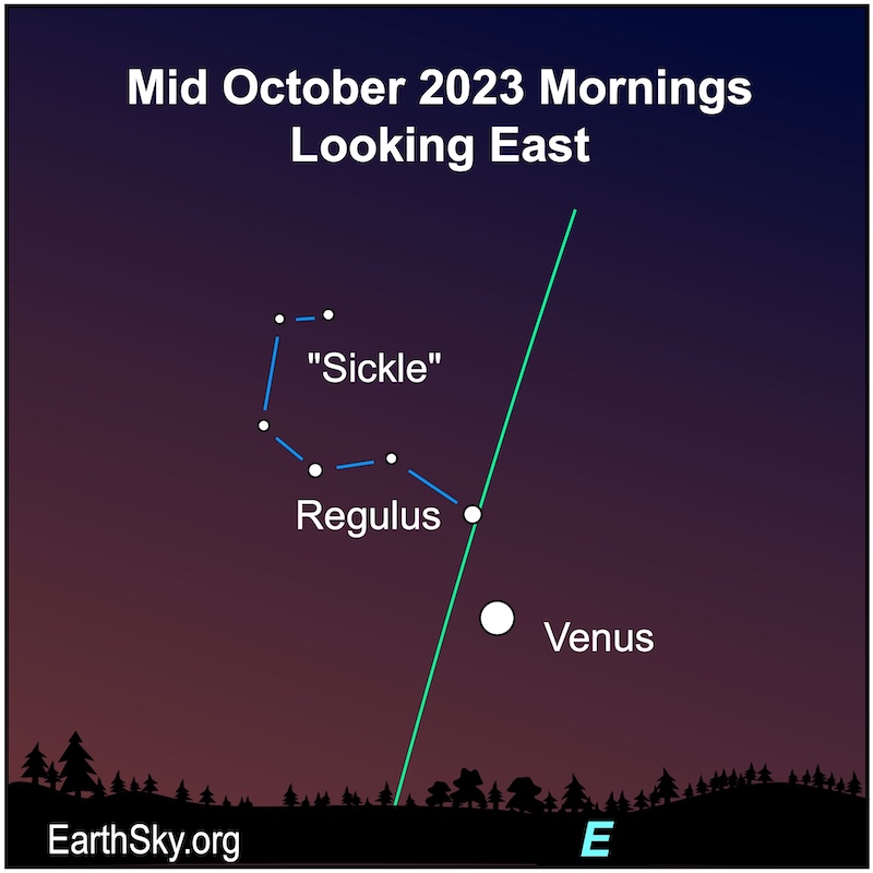 Star chart with near vertical green line of ecliptic, with Sickle, star Regulus and Venus labeled.