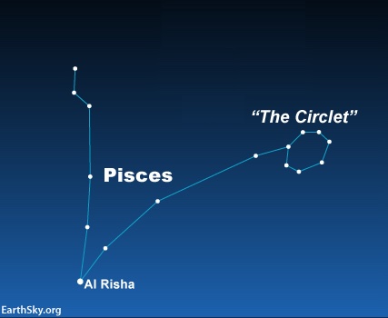 Star chart of constellation Pisces with Al Risha and Circlet labeled.
