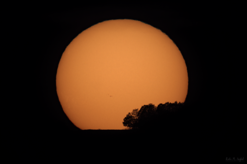 A large setting sun with small dark spots and tree silhouettes.