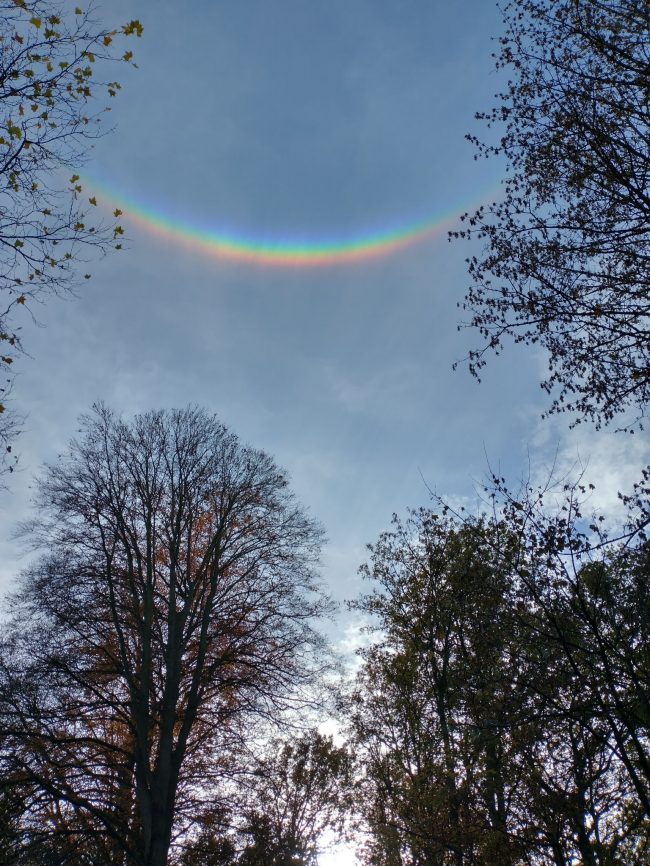 Upside-down rainbow high in the sky above treetops.