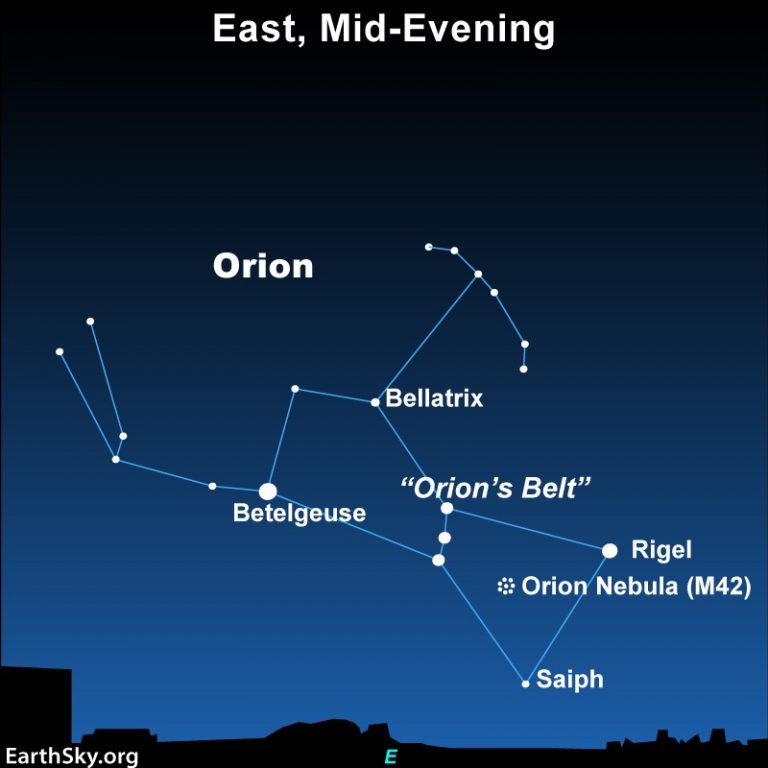 EarthSky | Bellatrix is Orion’s 3rd-brightest star