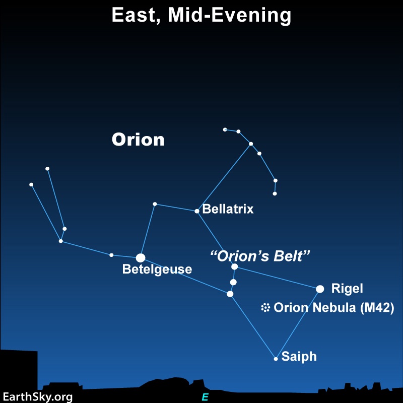 Star chart showing constellation Orion with Rigel, Betelgeuse and Bellatrix marked.
