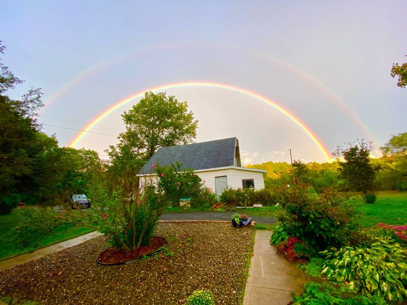 More rainbows will be seen due to climate change, suggests study - The  Daily Guardian