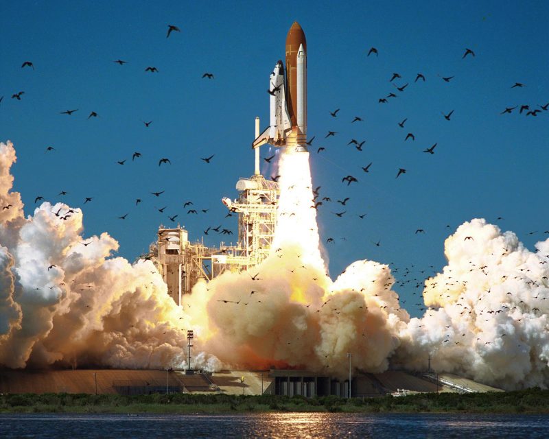 Challenger debris: Space shuttle lifting off on pillar of fire and clouds of steam, with flock of flying birds in foreground.