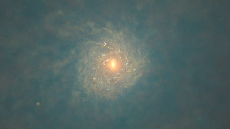 Gold-rich stars: A gold-colored spiral galaxy face-on, on a teal background.