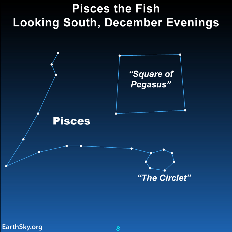 Pisces the Fish: Star chart with square and arrow shapes of stars with circle on one end, all labeled.