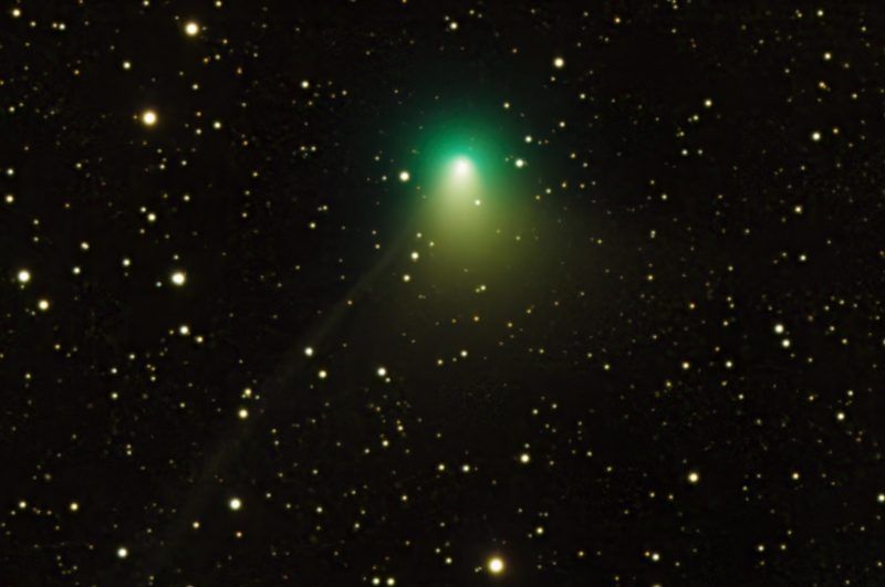 Bright comet has greenish fuzzy coma surrounding its head and short fuzzy tail with background stars.