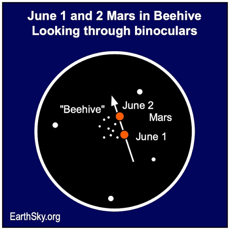 Circle with arrow showing motion of Mars across the Beehive cluster, with red dots for Mars on two dates.