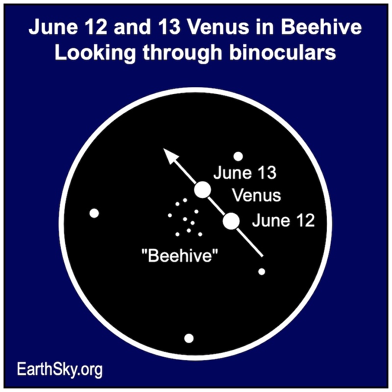 Circle with 2 white dots inside labeled with dates, moving past cluster. Arrow shows Venus' motion.