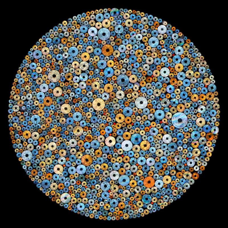 What looks like multicolored cheerios of different sizes on black background.