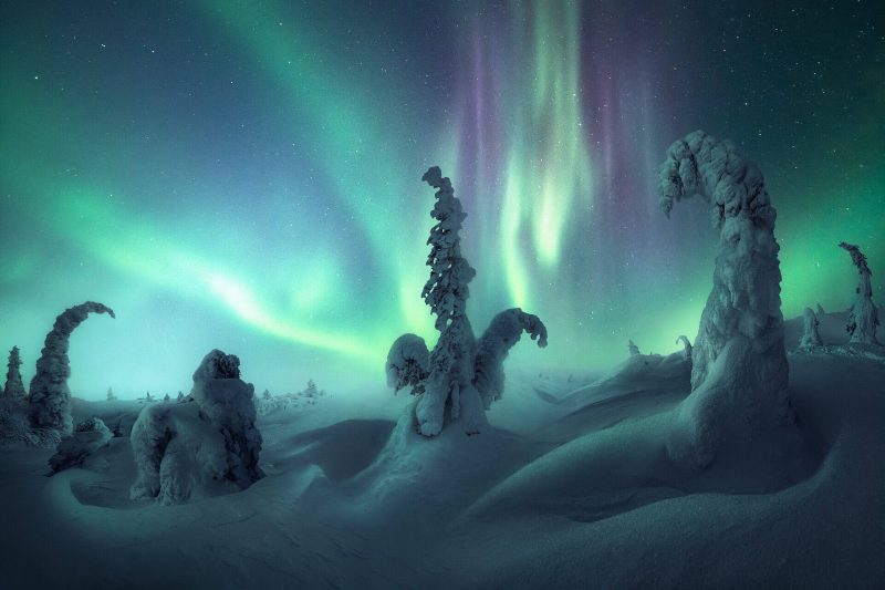 Northern lights photos: Deep snow covering evergreen trees until the tops bend sideways, and colorful lights in the sky.