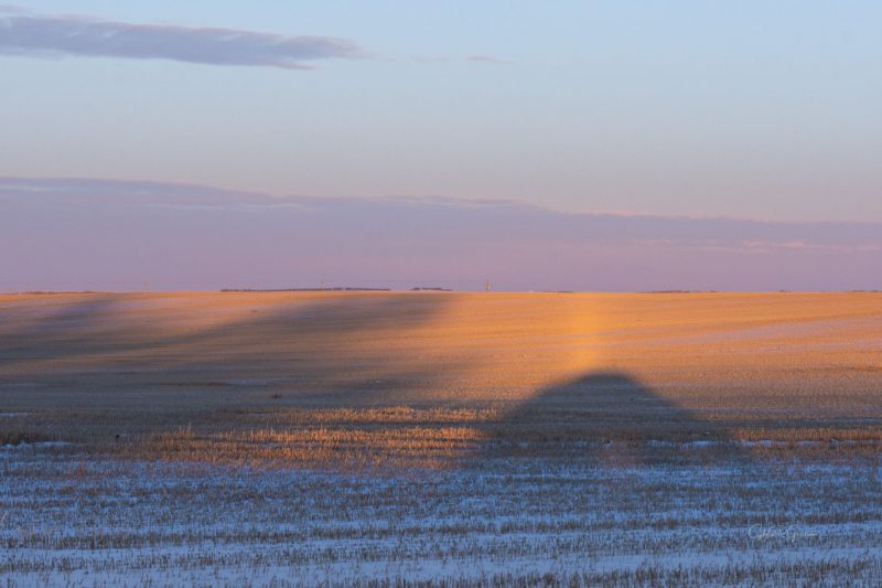 Shadow on a dry field with beam of light on top of dark curve.