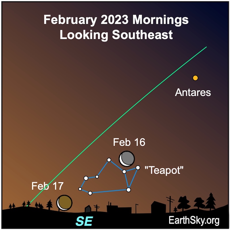 Moon near the Teapot: Star chart with drawing of teapot and 2 crescent moons nearby. Red Antares is higher in the sky.