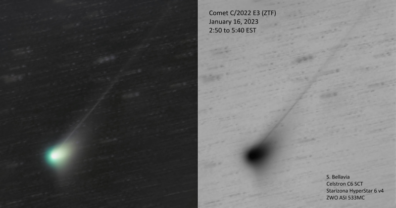 Fuzzy round comet head with long skinny tail, one pic in color and another black on white.