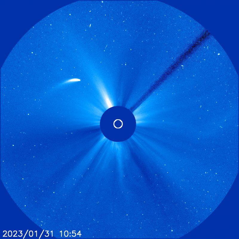 Comet Machholz: Sun-centered image with sun blocked by black circle and curving white comet at upper left.