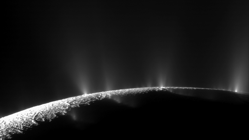 How to find life on Enceladus?  Look in the plumes